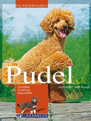 cover image of Pudel